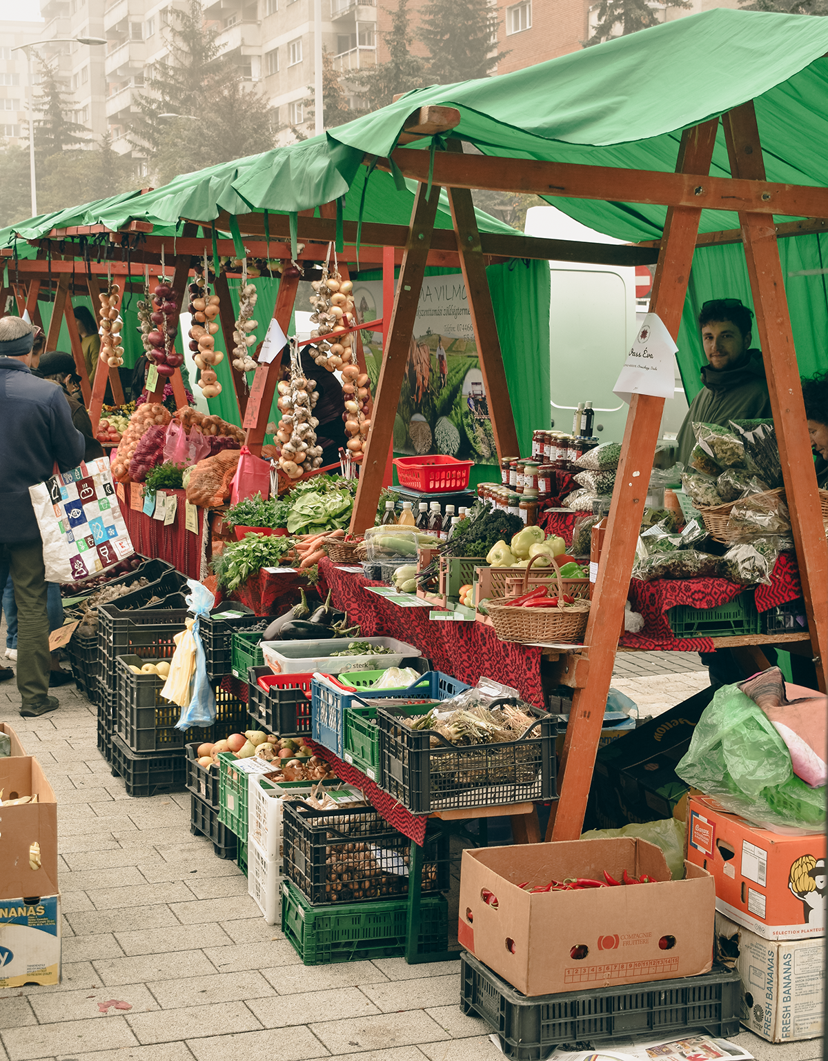 Hargita Megye Fejlesztési Ügynöksége